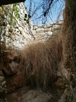 Pulsar para ver con detalle