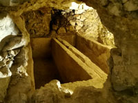 Pulsar para ver con detalle