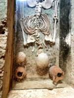 Pulsar para ver con detalle