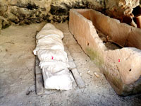 Pulsar para ver con detalle