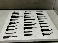 Pulsar para ver con detalle